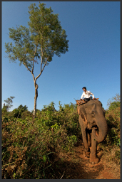 Cambodia/Kris LeBoutillier